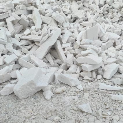 WhatsApp Image 2025-08-21 at 5.46.59 PM