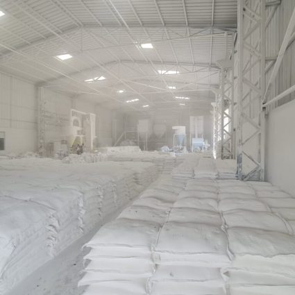 WhatsApp Image 2025-08-26 at 3.03.09 PM