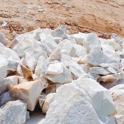 WhatsApp Image 2025-09-12 at 06.56.09_72281b10